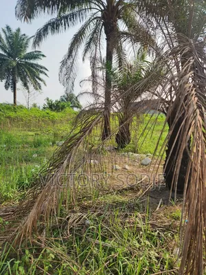 4 Plots na Sayarwa a Garin Usiefurun