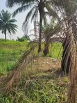 4 Plots na Sayarwa a Garin Usiefurun - 3