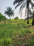 4 Plots na Sayarwa a Garin Usiefurun - 5