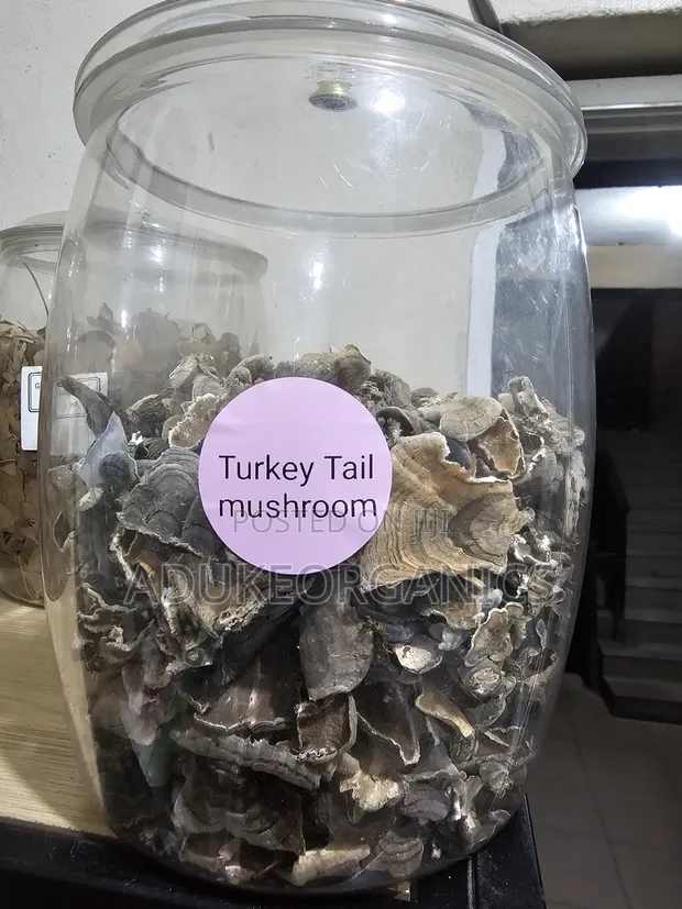 Turkey Tail Mushroom Whole 100g Pack - 1