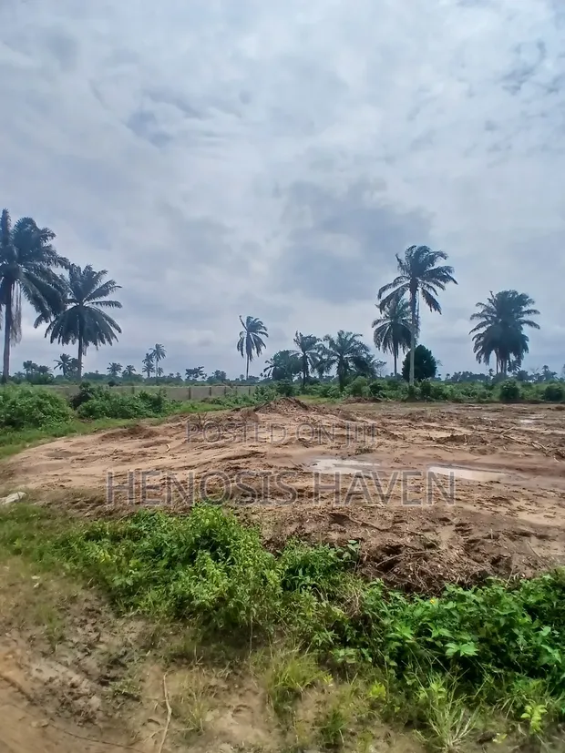 Residential Land for Sale - Woji-Alesa Link Road - 1