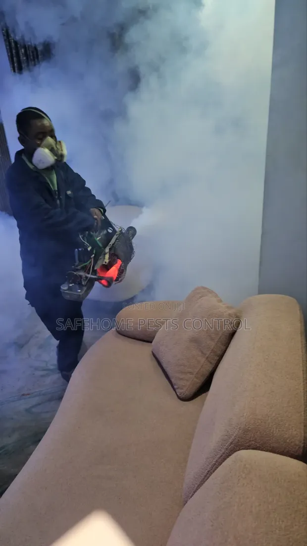 Affordable Pest Control Services in Lagos - 1