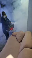 Affordable Pest Control Services in Lagos - 1