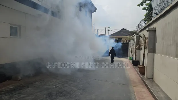 Ant Control Insect Treatment Lagos - 1