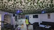 Ant Control Insect Treatment Lagos - 2