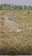 Certificate of Occupancy Land for Sale, Lagelu Ibadan - 3