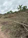 Certificate of Occupancy Land for Sale, Lagelu Ibadan - 5