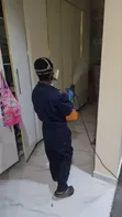 Insect Control Fumigation Experts Lagos - 2