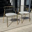 Dining Chair with Iron Skeleton Body - 1