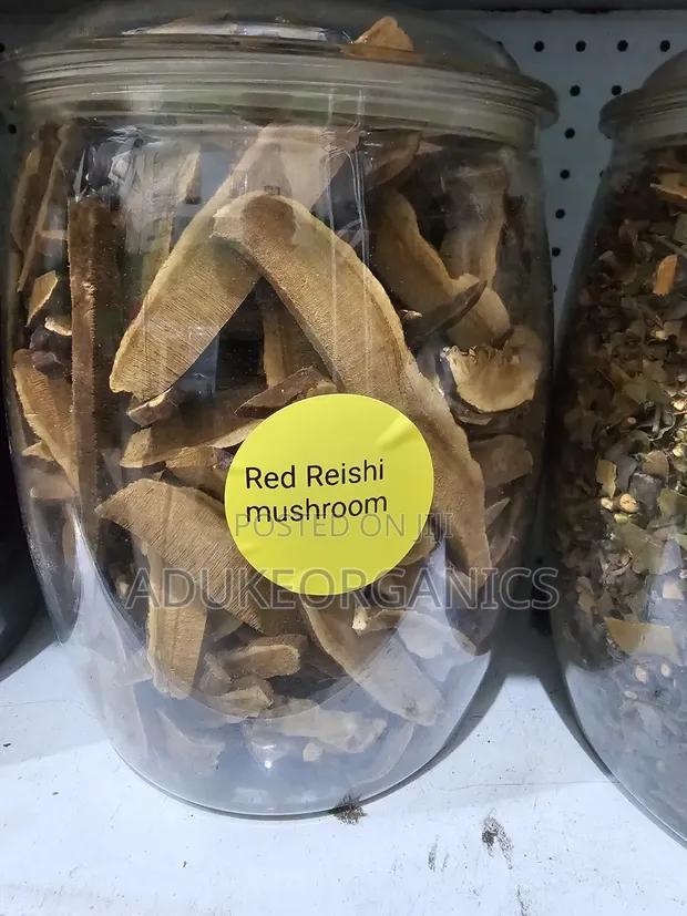 Red Reishi Mushroom Slices 100g - 1