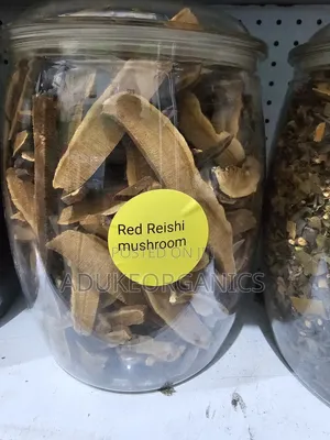 Red Reishi Mushroom Slices 100g