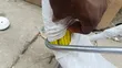 Industrial Fiber Fishing Tape (150 Metres) - 2
