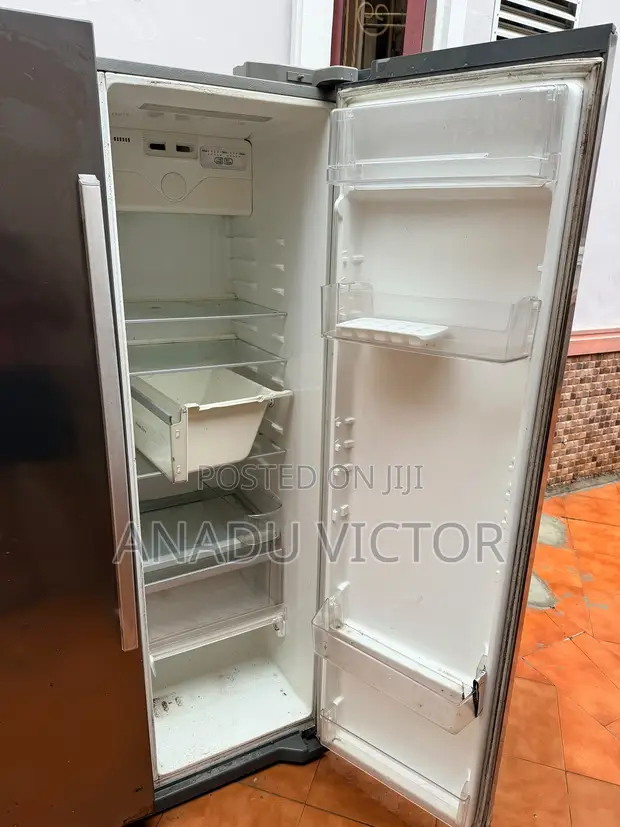 LG Standing Refrigerator - 1