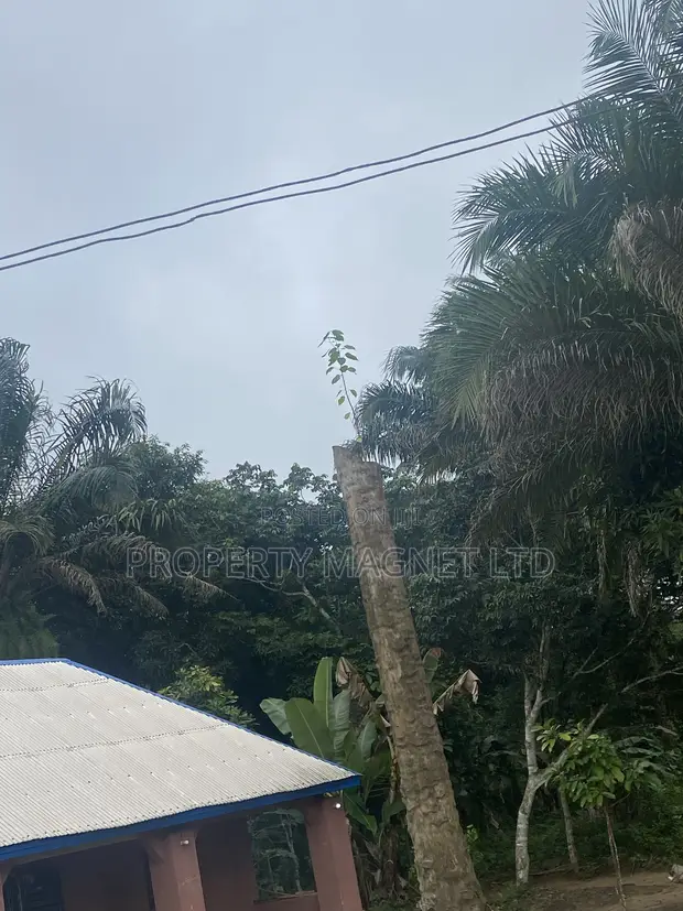 465 sqm Plot for Sale in Mgbarakuma, Ubakala - 1