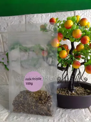 Milk Thistle Seeds 100g Pack