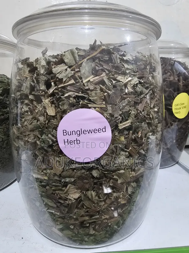 Bugleweed 100g Pack - Thyroid & Heart Support - 1
