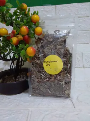 Bugleweed 100g Pack - Tallafin Jini & Thyroid