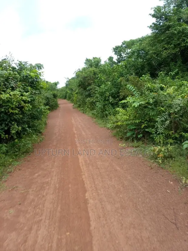 Acre 10,000 na Filin Noma don Siyarwa a Imeko Afon, Jihar Ogun - 1