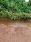 10,000 Acres Farmland for Sale in Imeko Afon, Ogun State - 3