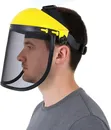 Adjustable Mesh Face Shield with Headgear - 1