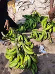 Aces Bite and Brew Crunchy Plantain Chips - Port Harcourt - 1