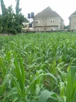 Filin 1000sqm na zama don siyarwa a Lugbe - 1