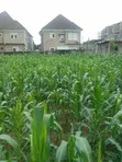 Filin 1000sqm na zama don siyarwa a Lugbe - 2