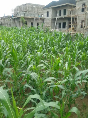 Filin 1000sqm na zama don siyarwa a Lugbe
