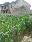 Filin 1000sqm na zama don siyarwa a Lugbe - 4
