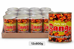 Pally Agro Banga Palm Fruit Extract 12x800g