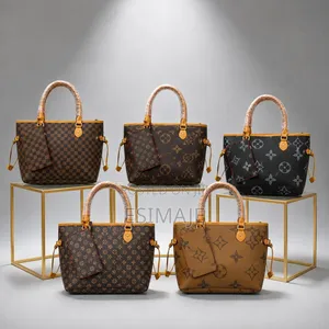 Louis Vuitton Classic Handbag