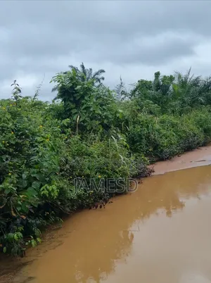 Residential Land for Sale, Uhwo Bypass