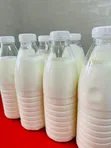 Flavoured Yoghurt Drinks - Wholesale - 3
