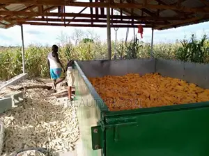 Grain Drying Machine - Bed Dryer