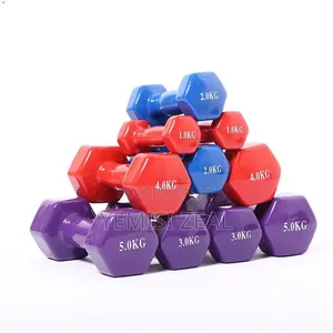 Aerobics Dumbbell Pair Set (Brand New)