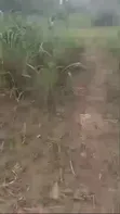 Takardar Mallaka (C of O) - Ogbuke - 5
