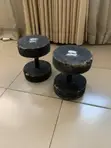 Pair of 10kg Dumbbells - 1