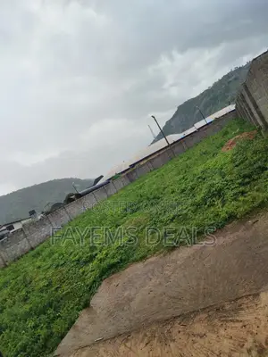 Filin Kasuwa a Dawaki, Gwarimpa