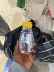 Babban Kwano na Zuma - Filastik - 2