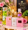 Fragrance World Namiji da Mace Perfume Mai & Spray - 100ml - 4