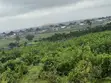 Skyline Exclusive Gousa Idu - Residential Land - 3