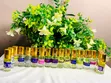 Fragrance World Foreign Oil Perfume (3ml) - 24hr Fragrance - 5