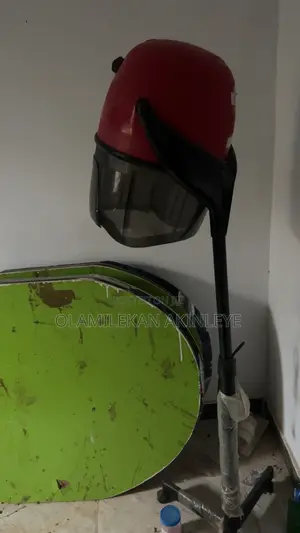 Professional Series Hair Dryer - Jaja