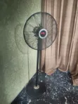 Orl Standing Fan - Baki - 2