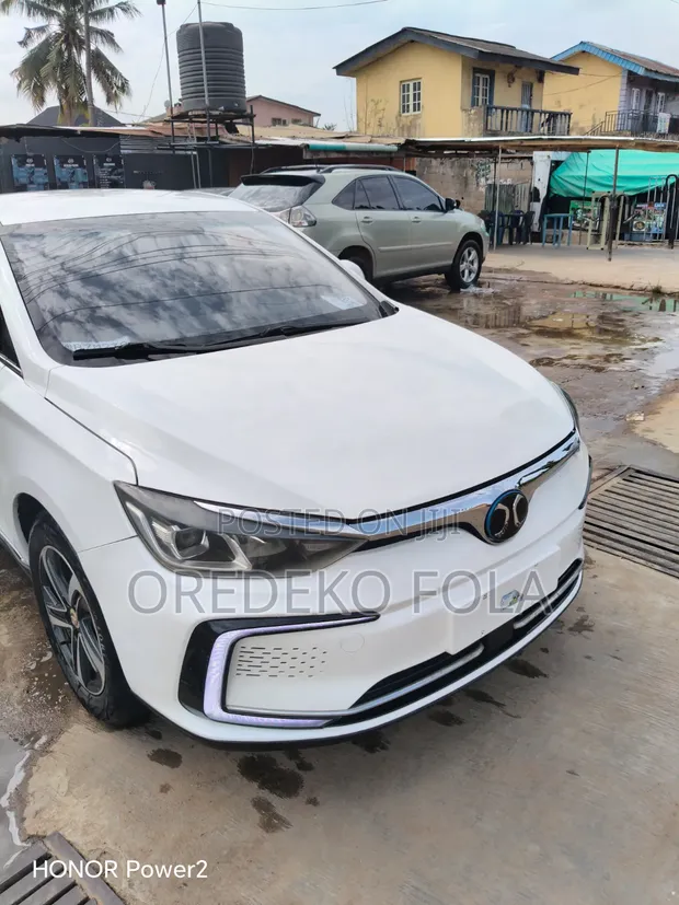 2019 Beijing EU5 Electric Car - 1