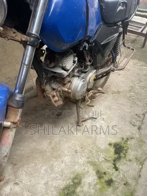 TVS HLX 125 2024 Blue Motorcycle