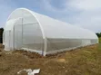 Arade Mini Tunnel Greenhouse - 8m x 25m - 1