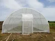 Arade Mini Tunnel Greenhouse - 8m x 25m - 2