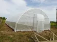 Arade Mini Tunnel Greenhouse - 8m x 25m - 4