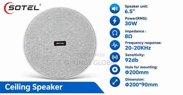 SOTEL 6.5" 30W Bluetooth Ceiling Speaker - 1